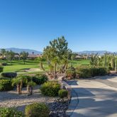 a view of a garden with potted plants