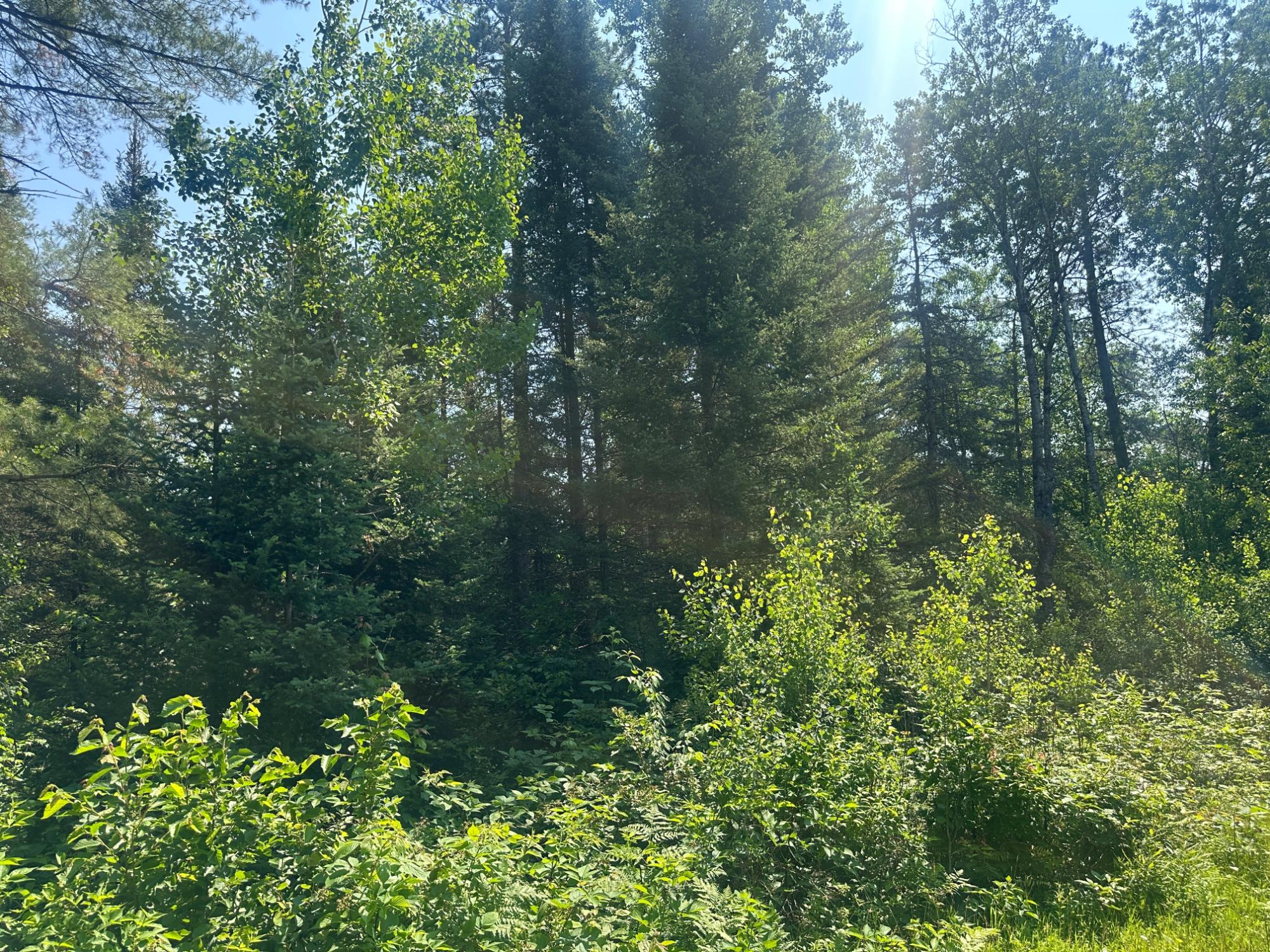 4204 Hegemann Road Conover, WI 54519 - Photo 5 of 9 Gallery Image 5