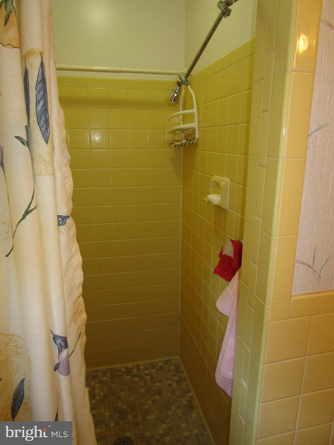 4166 Carrs Ridge Road Edgewater, MD 21037 - Photo 11 of 30 Walk-in Shower