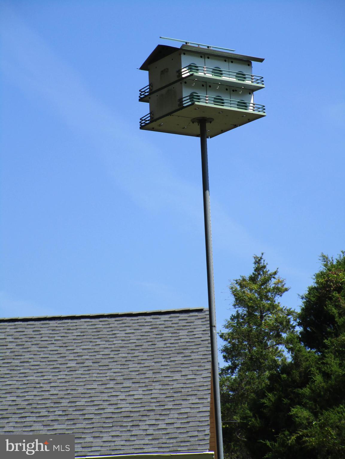 4166 Carrs Ridge Road Edgewater, MD 21037 - Photo 26 of 30 Bird House