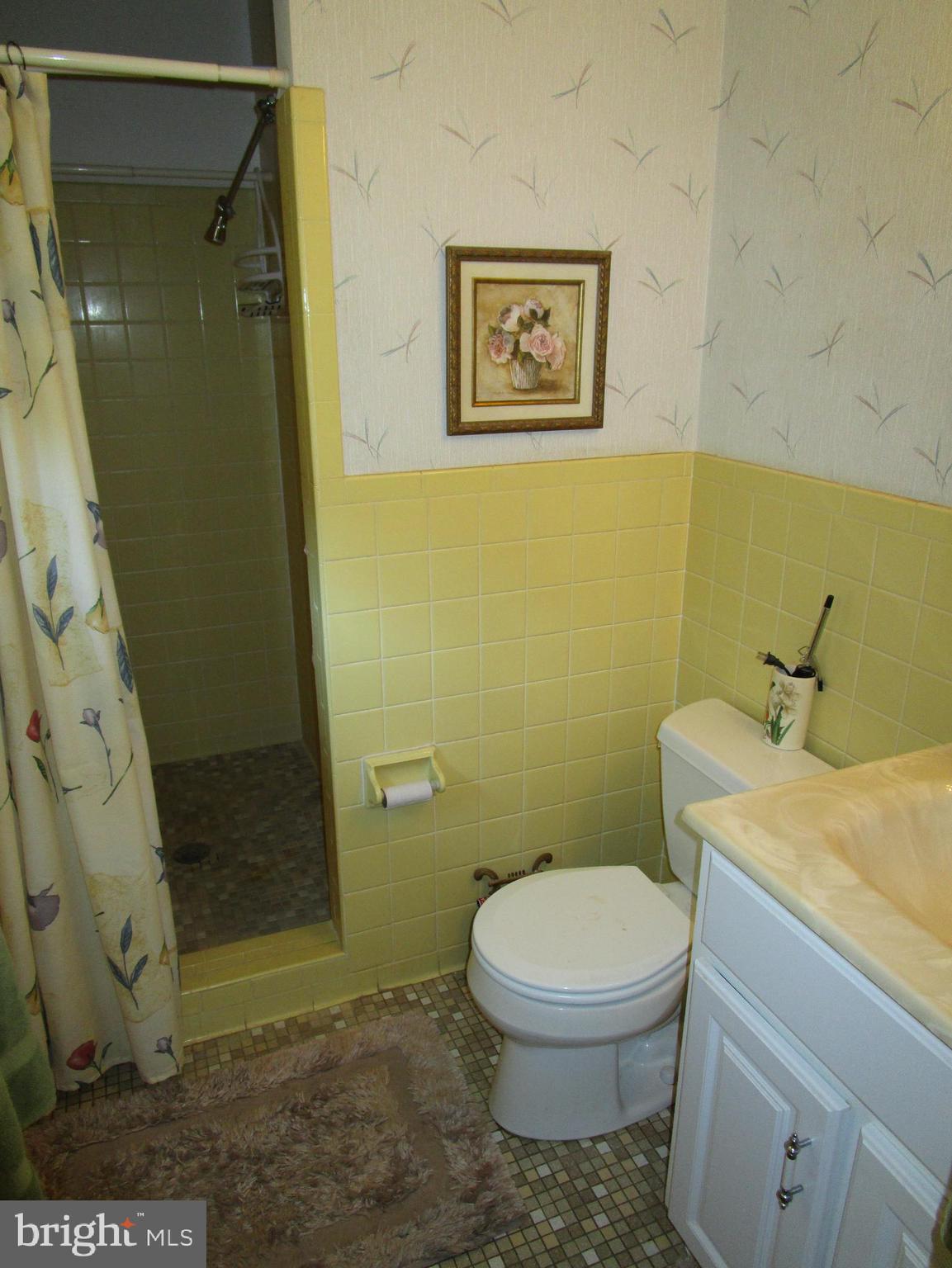 4166 Carrs Ridge Road Edgewater, MD 21037 - Photo 10 of 30 Master Bath
