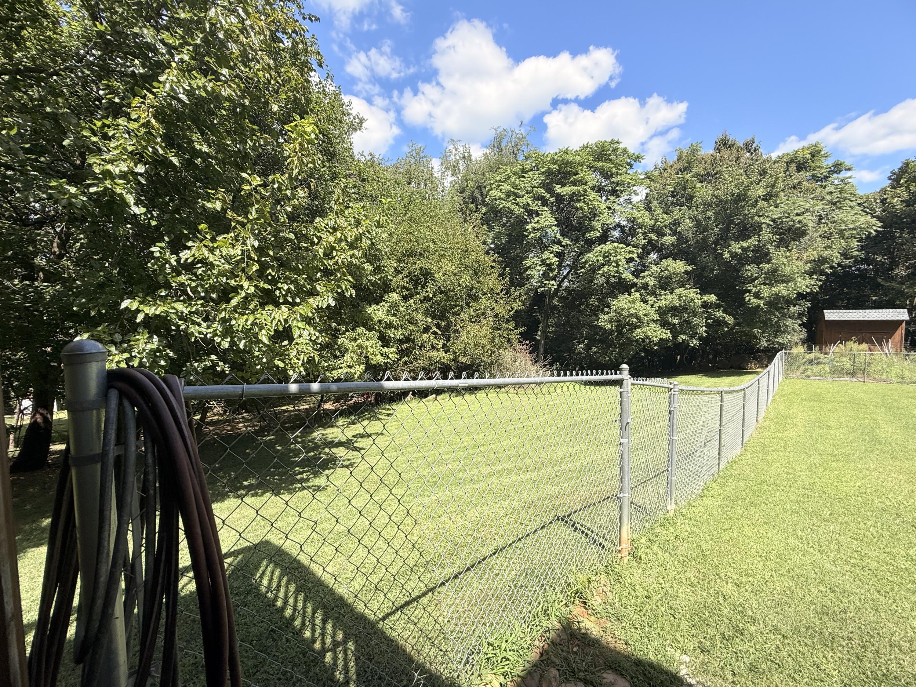 2204 Ridge Road Roanoke, VA 24014 - Photo 22 of 26 side yard