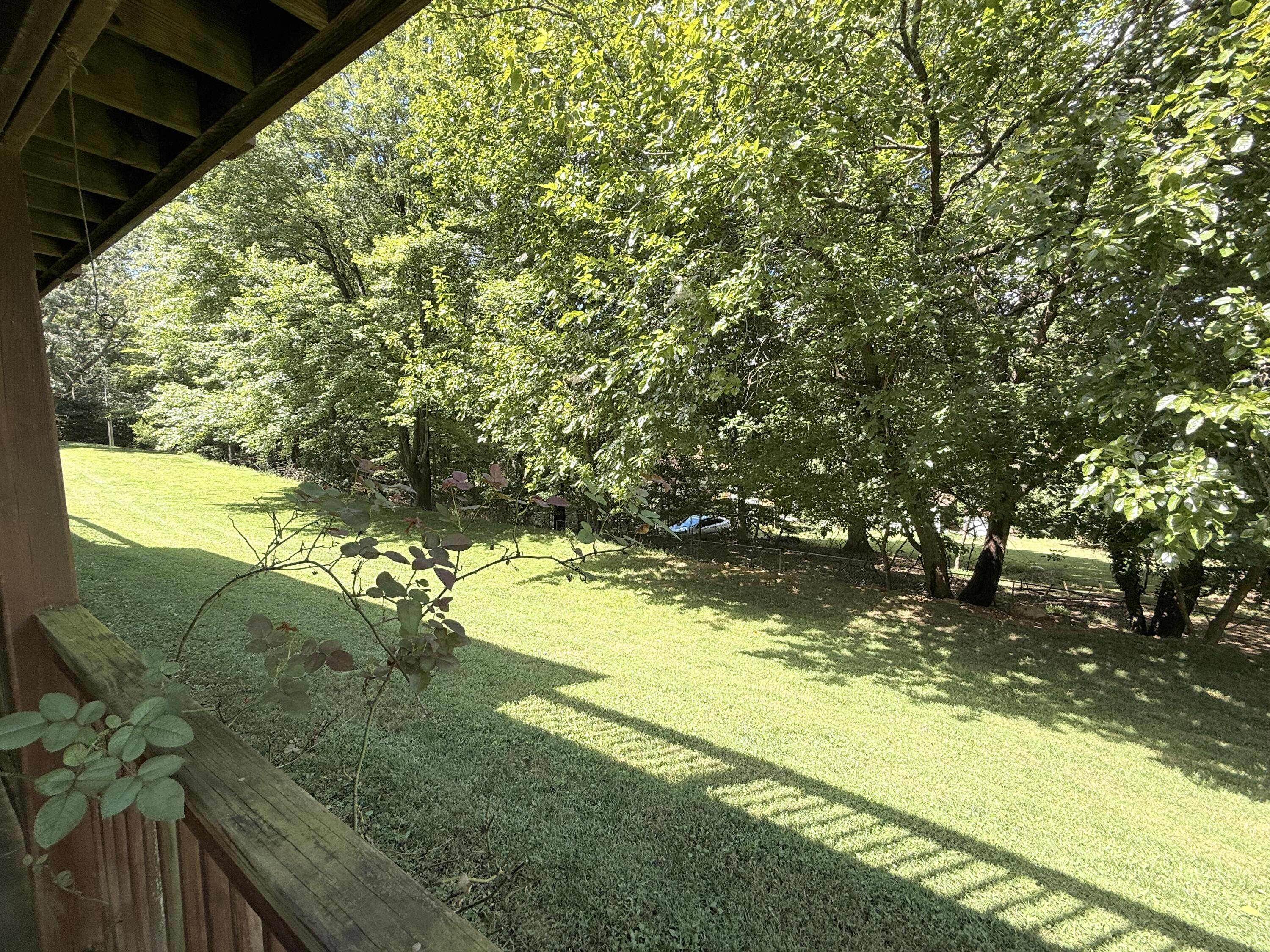 2204 Ridge Road Roanoke, VA 24014 - Photo 23 of 26 side yard