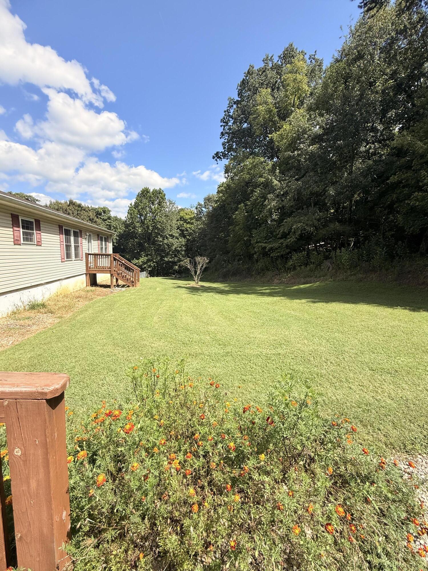 2204 Ridge Road Roanoke, VA 24014 - Photo 26 of 26 Front side yard