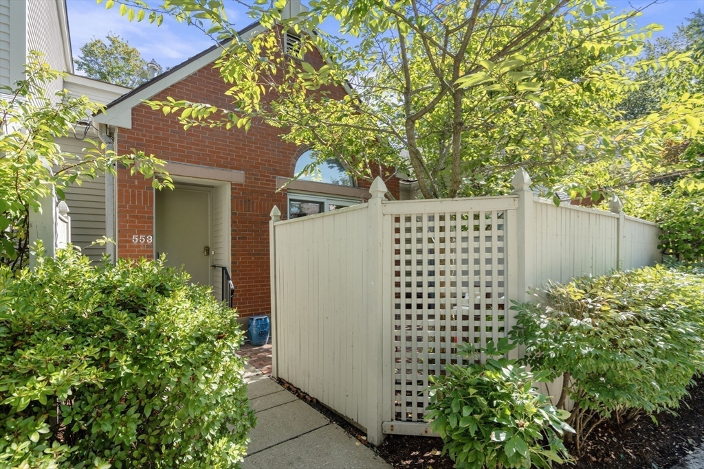 553 Boylston Street, Unit C2 Brookline, MA 02445 - Photo 27 of 31 a view of a house with a large tree and plants