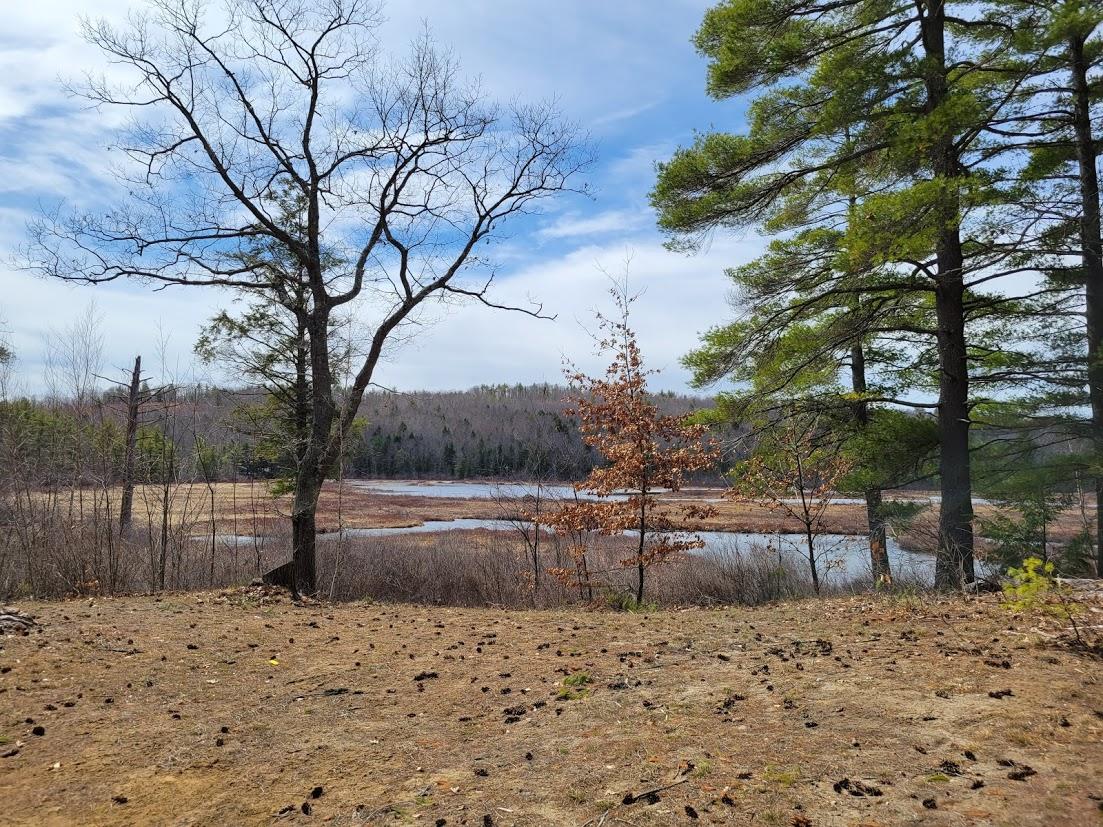 233 Flat Ground Road Acton, ME 04001 - Photo 3 of 33 new backyard