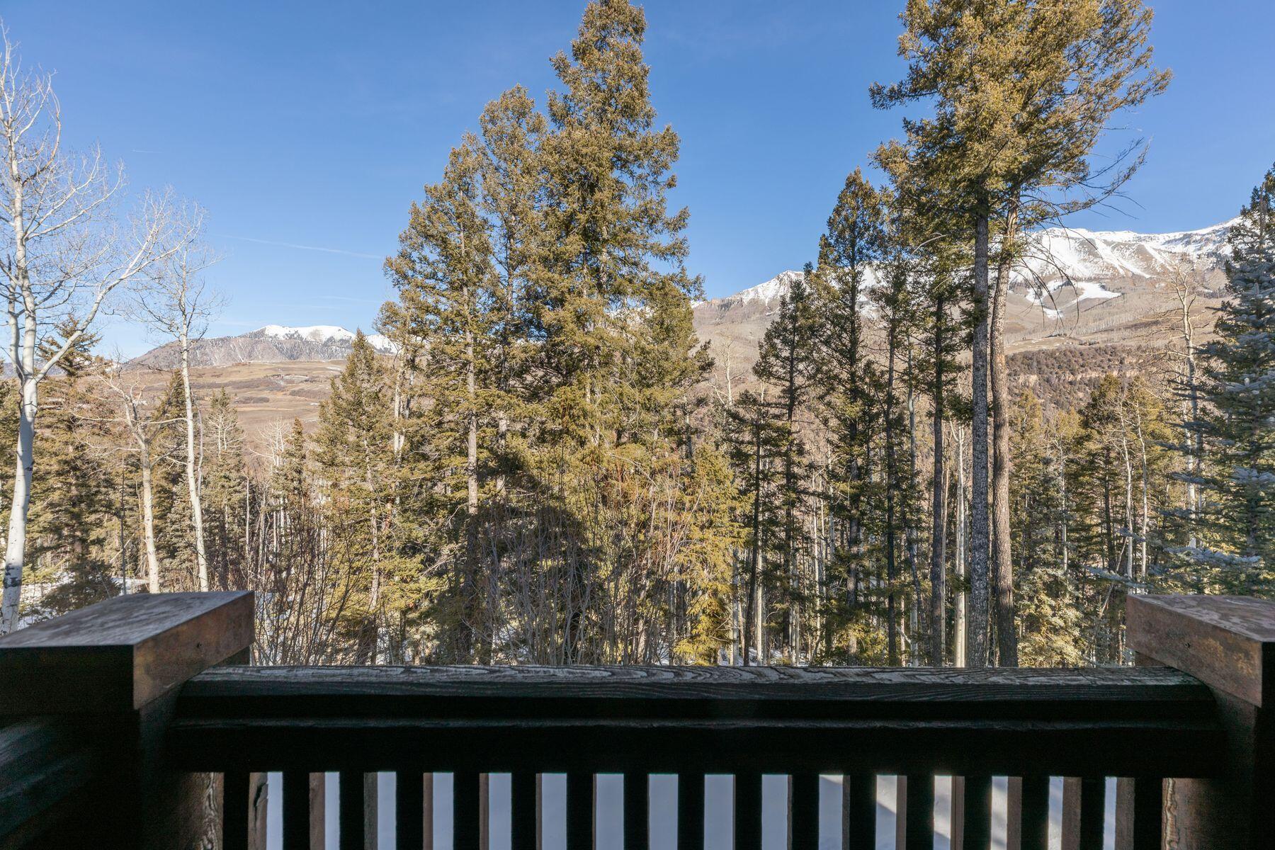 245 Adams Ranch Road Mountain Village, CO 81435 - Photo 15 of 28 photo_online_022