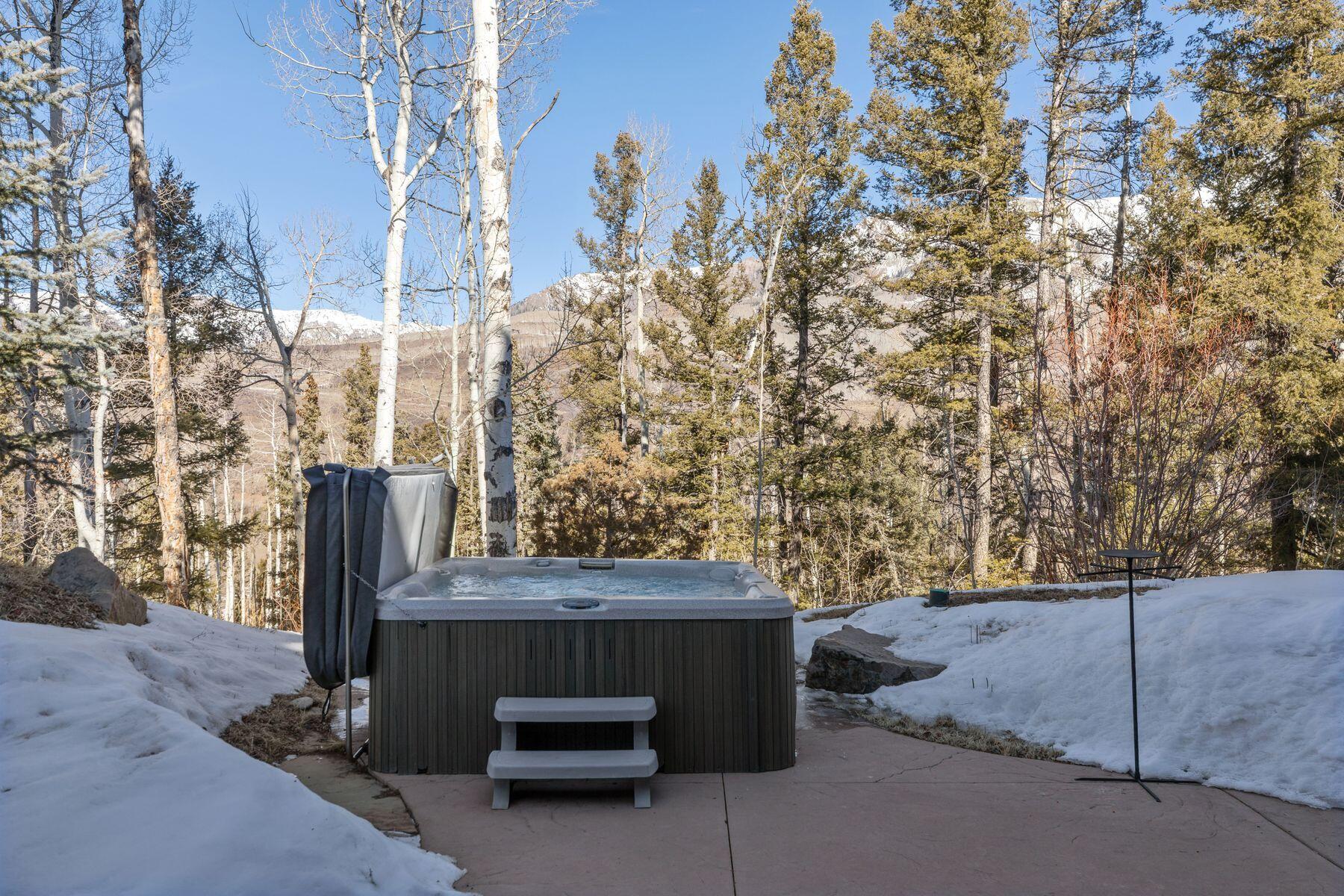 245 Adams Ranch Road Mountain Village, CO 81435 - Photo 26 of 28 photo_online_013