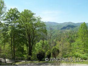 1904 Shelton Laurel Road Clyde, NC 28721 - Photo 3 of 24