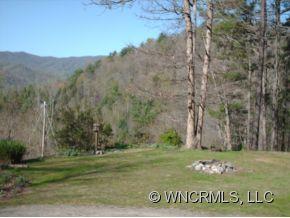 1904 Shelton Laurel Road Clyde, NC 28721 - Photo 4 of 24