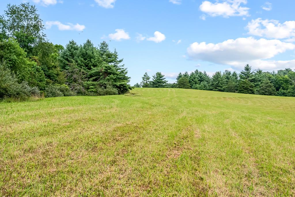 0 Canning Factory Road Southwest, Unit 659 Floyd, VA 24091 - Photo 37 of 49 Gallery Image 37