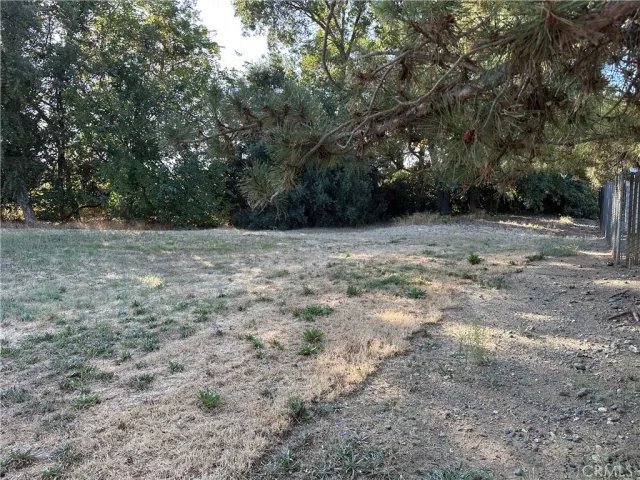 a view of a yard with a tree