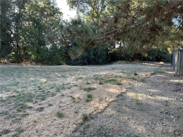 a view of a yard with a tree