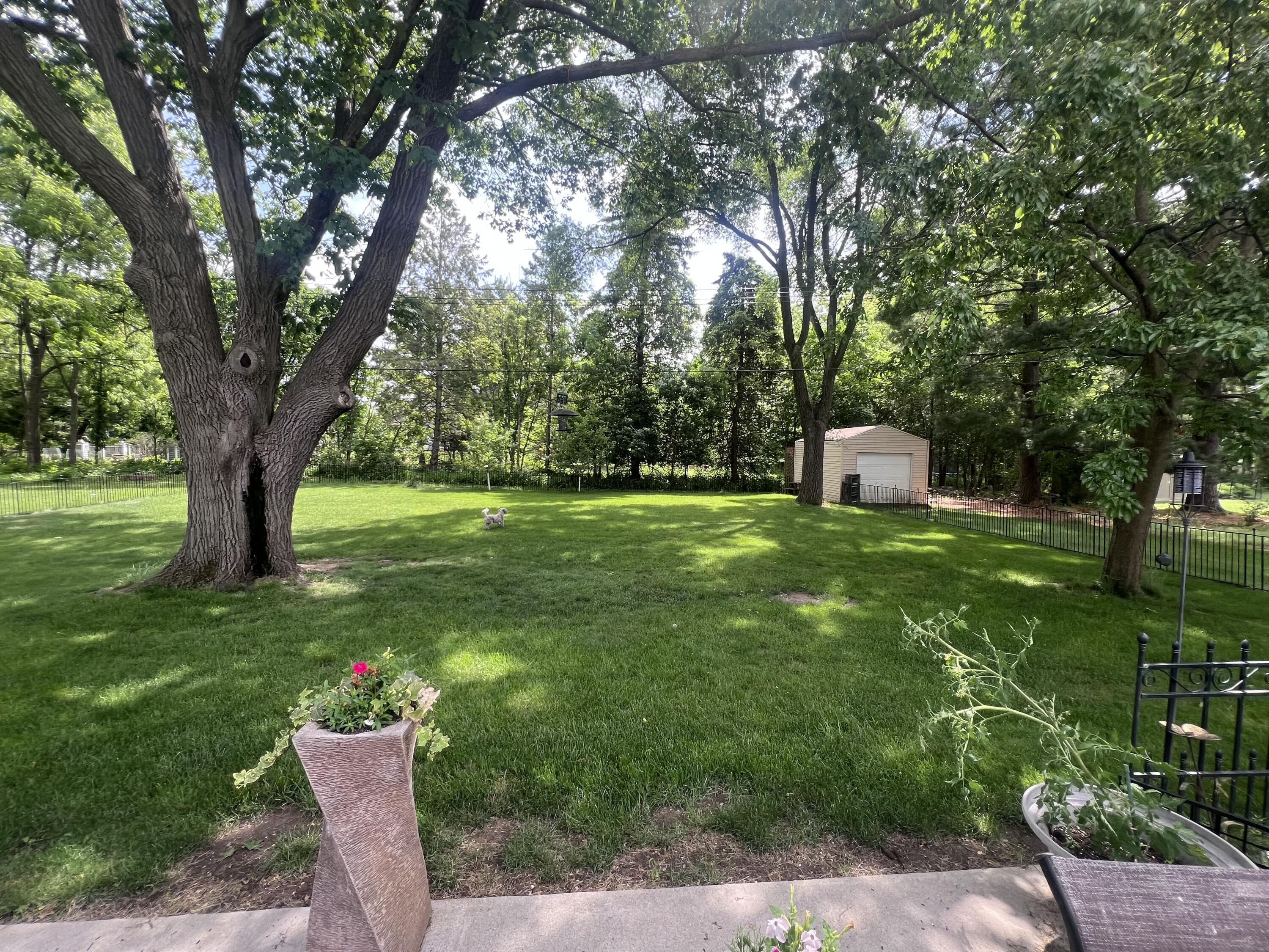 928 Mill Road Delafield, WI 53018 - Photo 43 of 43 BAck yard