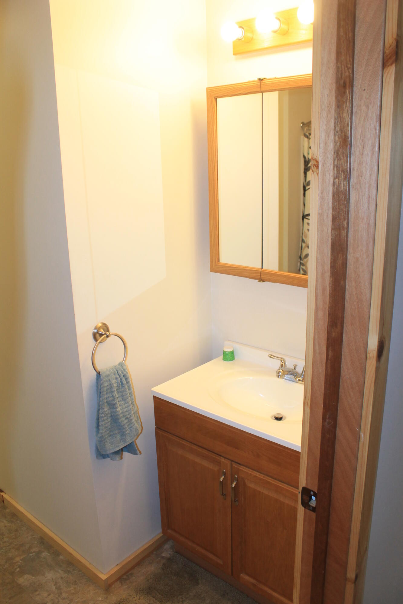 10575 Brush Road Roscommon, MI 48653 - Photo 12 of 33 Gallery Image 12