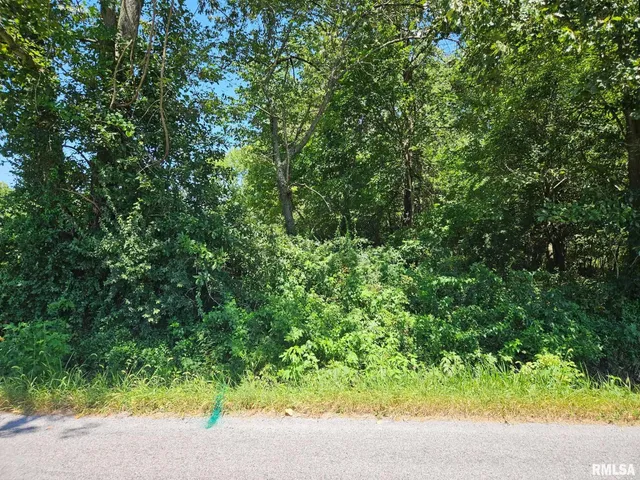 $79,900 | 0 Winery Road, West Frankfort, IL 62896