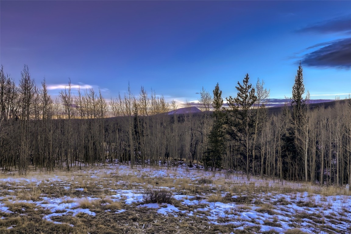 490 Adventure Road Alma, CO 80420 - Photo 28 of 28 Mountain view