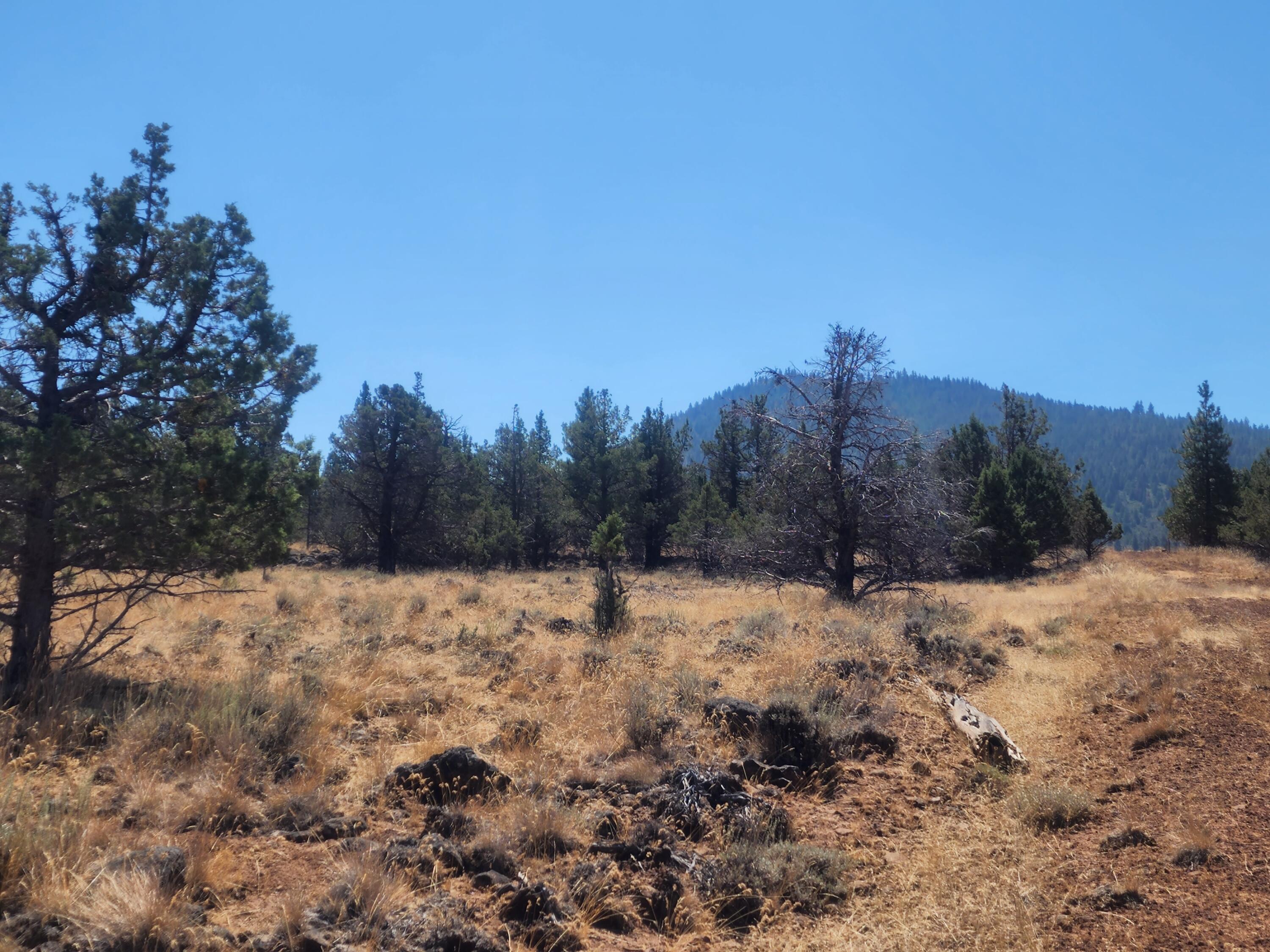 15813 Knollcrest Road Klamath Falls, OR 97603 - Photo 4 of 6 20220824_122648