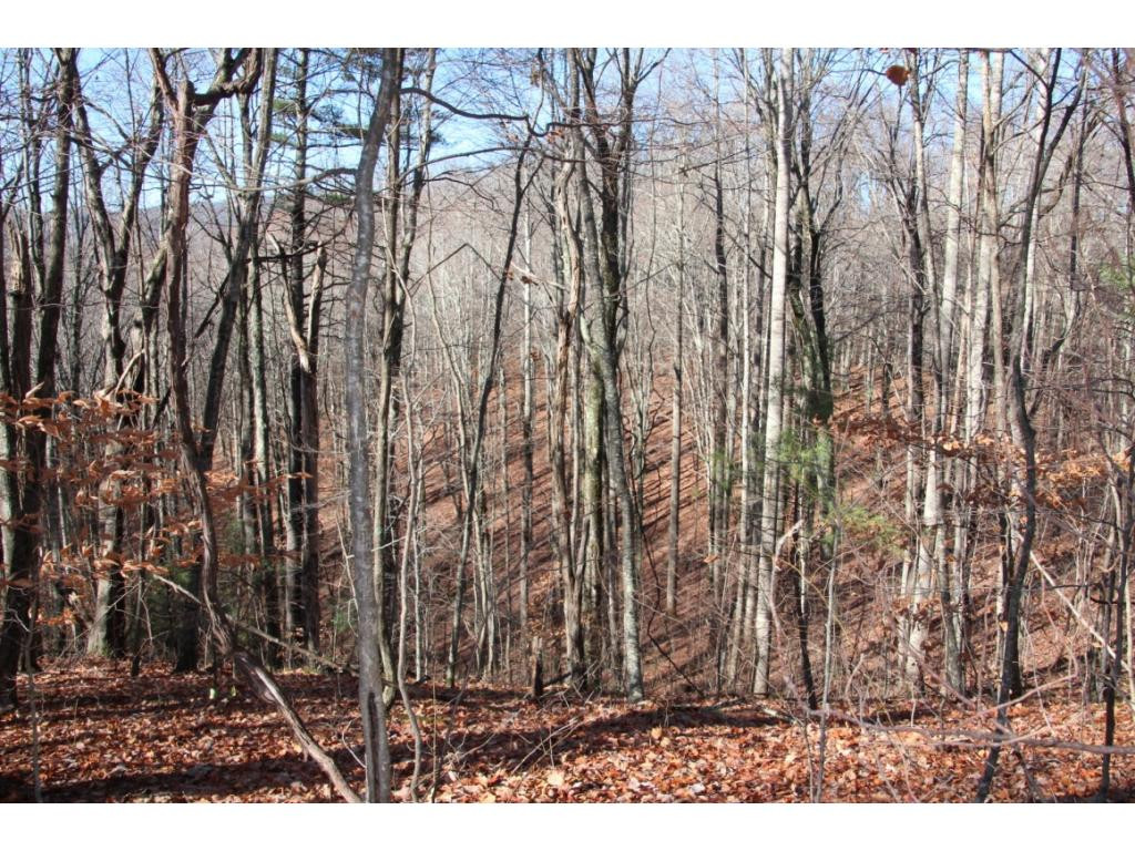 2885 Stage Road Mountain City, TN 37683 - Photo 11 of 17 POSSIBILITIES EVERYWHERE