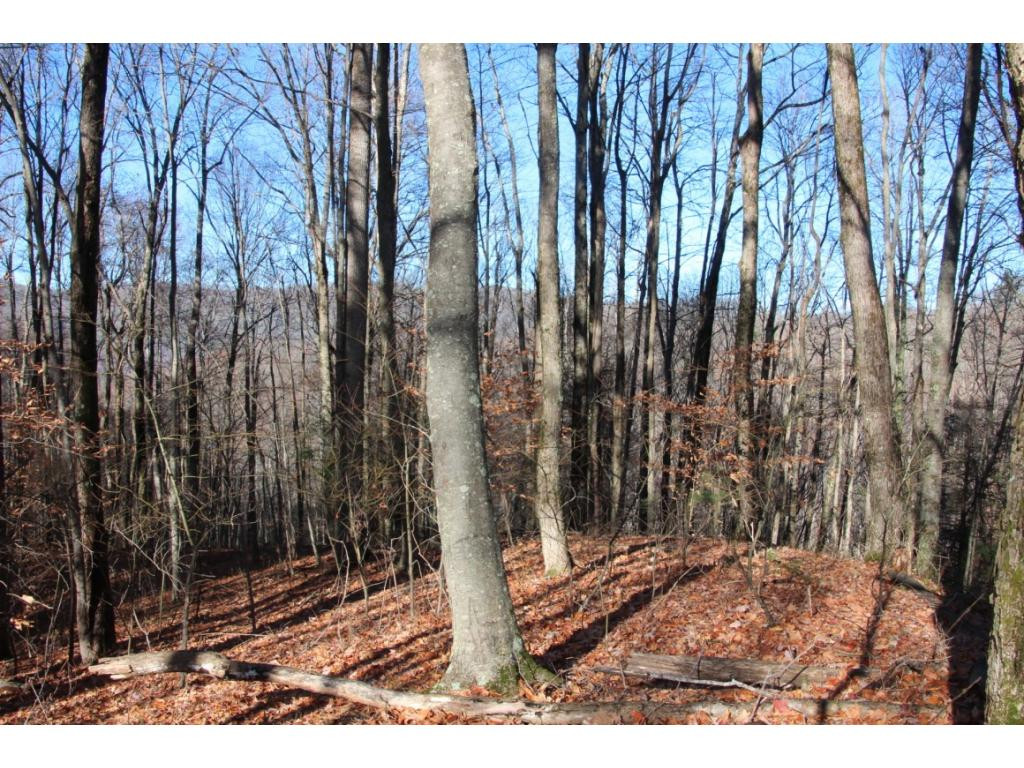 2885 Stage Road Mountain City, TN 37683 - Photo 14 of 17 MORE MOUNTAIN RANGE VIEWS