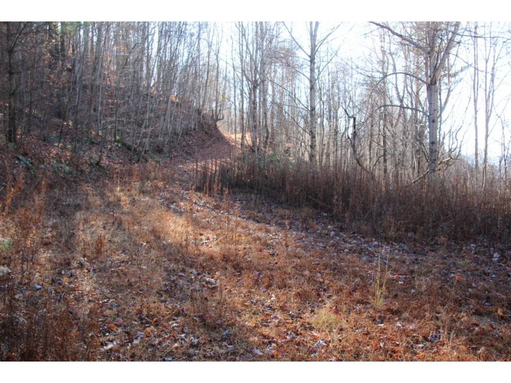 2885 Stage Road Mountain City, TN 37683 - Photo 17 of 17 ENTRANCE ROAD