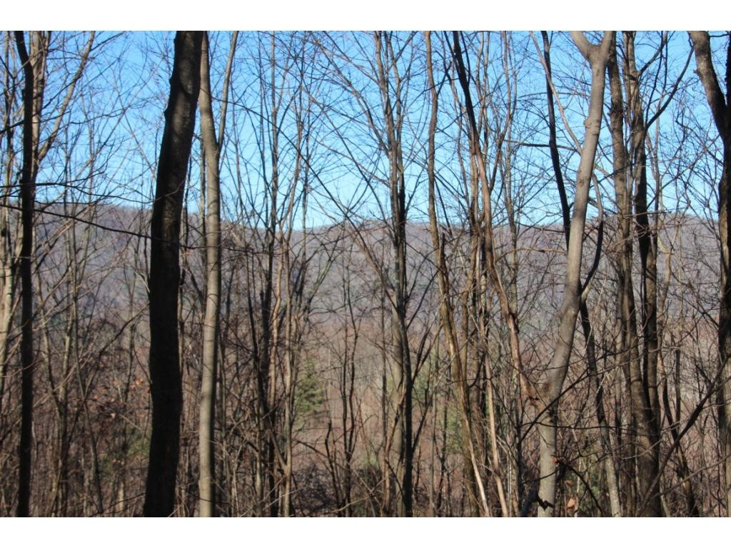 2885 Stage Road Mountain City, TN 37683 - Photo 2 of 17 VIEW WEST TO CALLALANTEE MTN