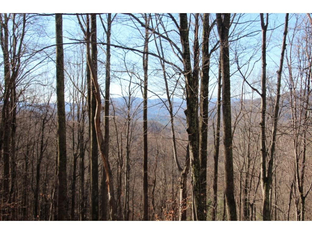 2885 Stage Road Mountain City, TN 37683 - Photo 6 of 17 WEST VIEW