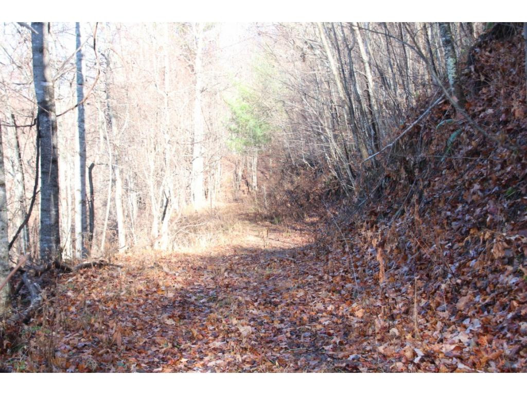 2885 Stage Road Mountain City, TN 37683 - Photo 7 of 17 Photo 7
