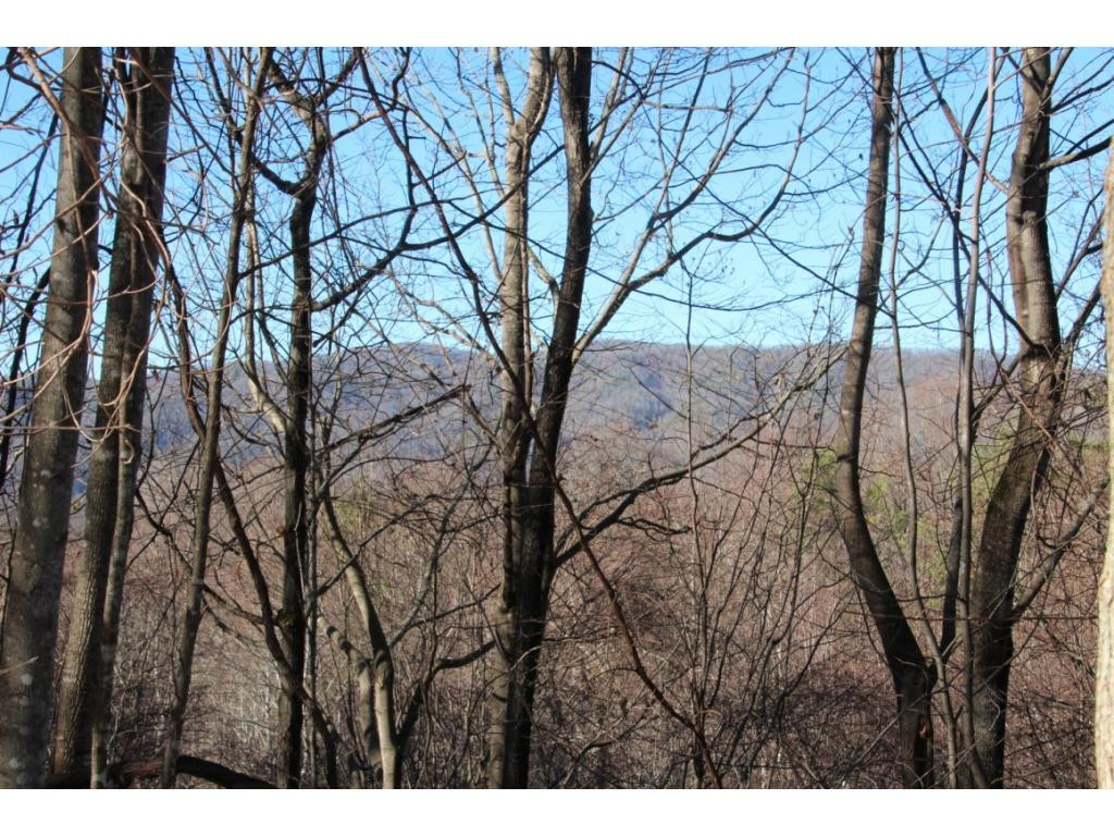 2885 Stage Road Mountain City, TN 37683 - Photo 8 of 17 NORTH VIEW