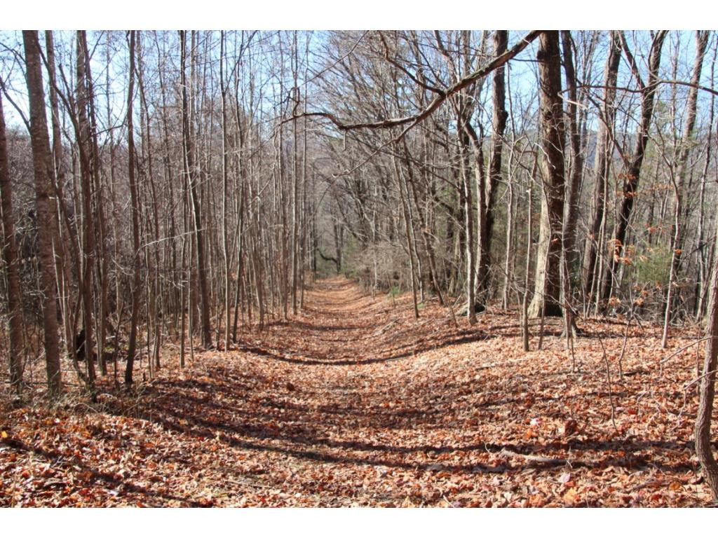 2885 Stage Road Mountain City, TN 37683 - Photo 10 of 17 INTERIOR TRAILS