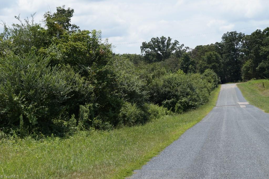 0 Wagonwheel Road Robbins, NC 27325 - Photo 2 of 2
