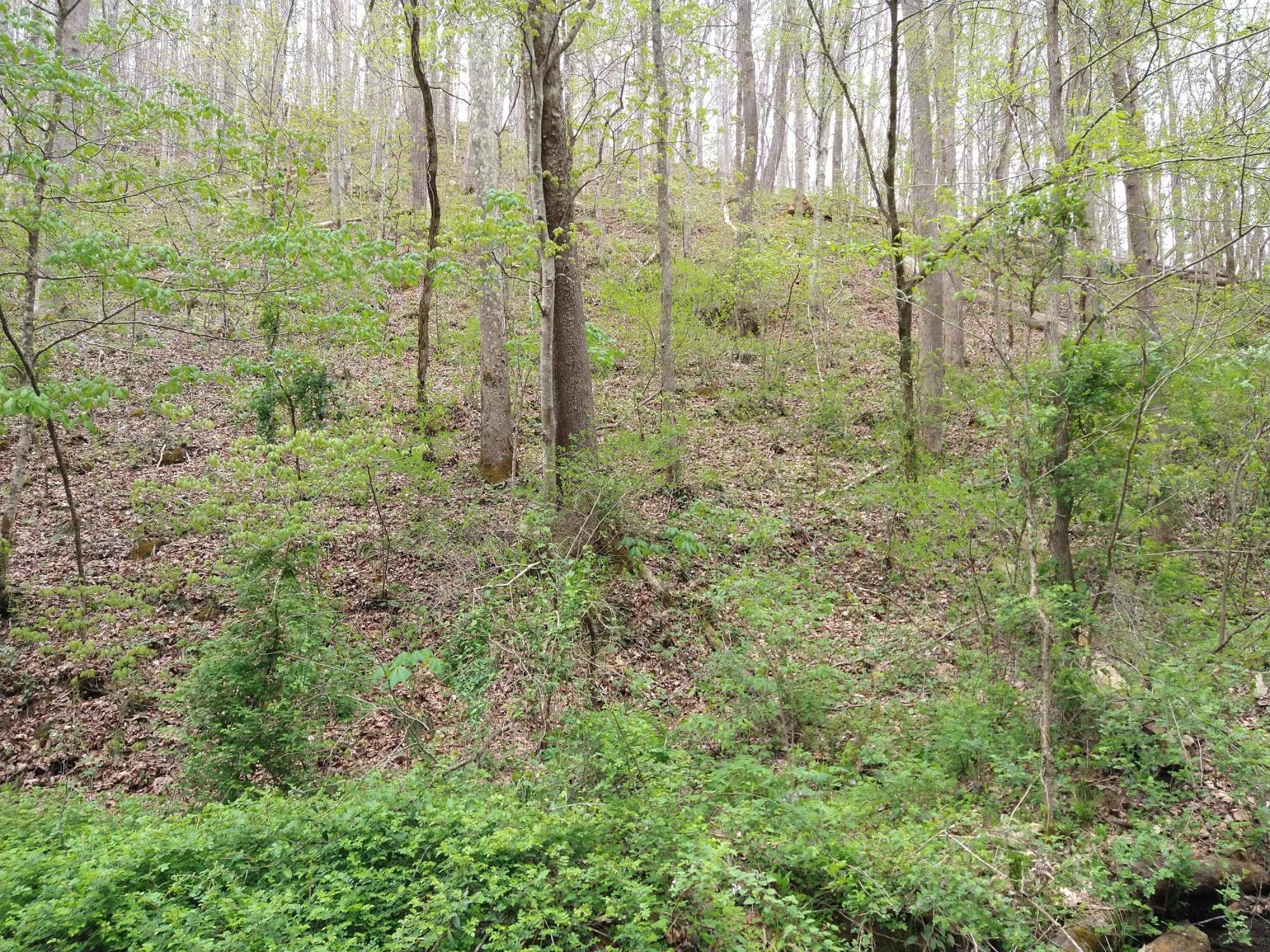 dean hollow pic 4