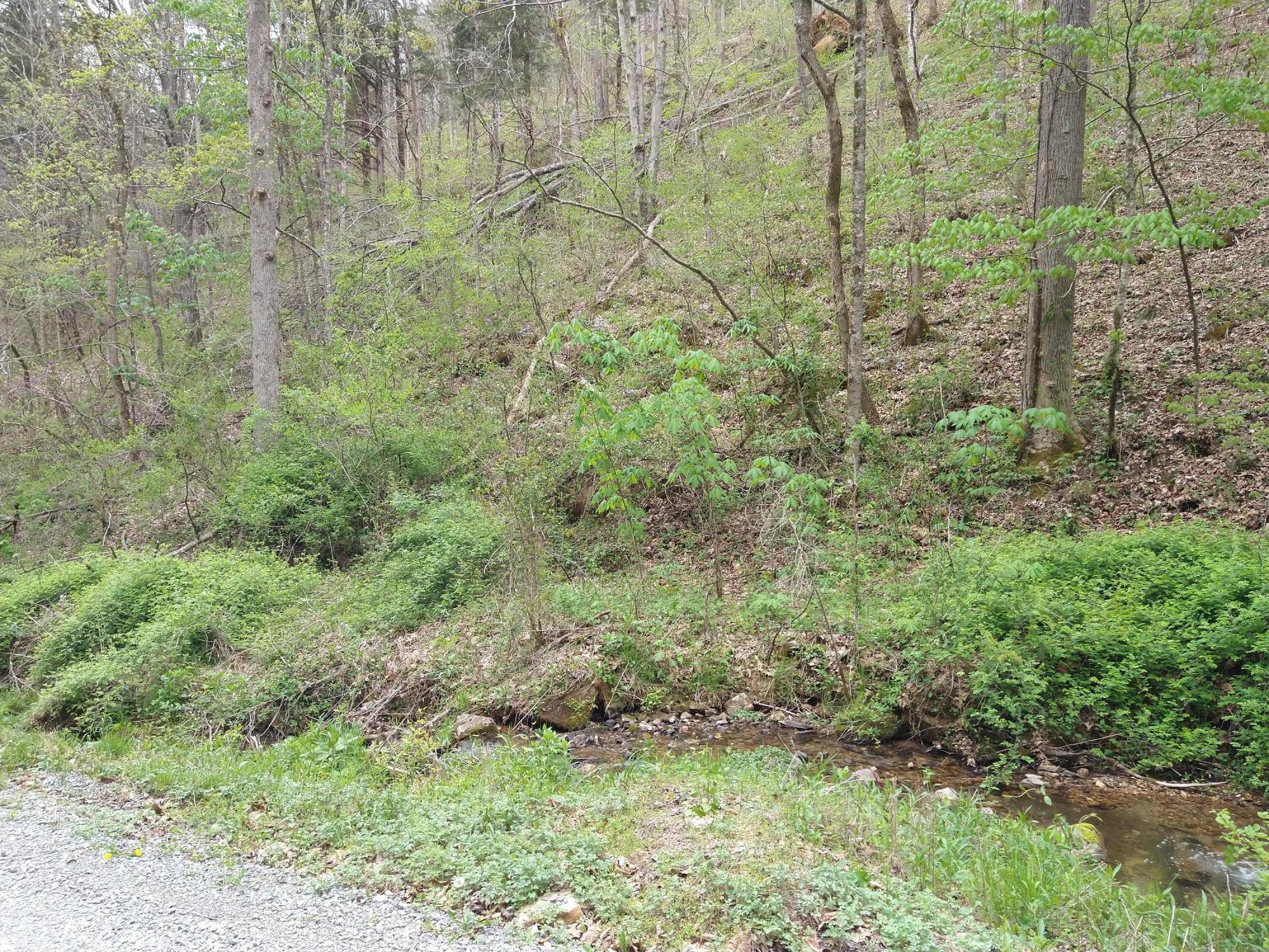dean hollow pic3
