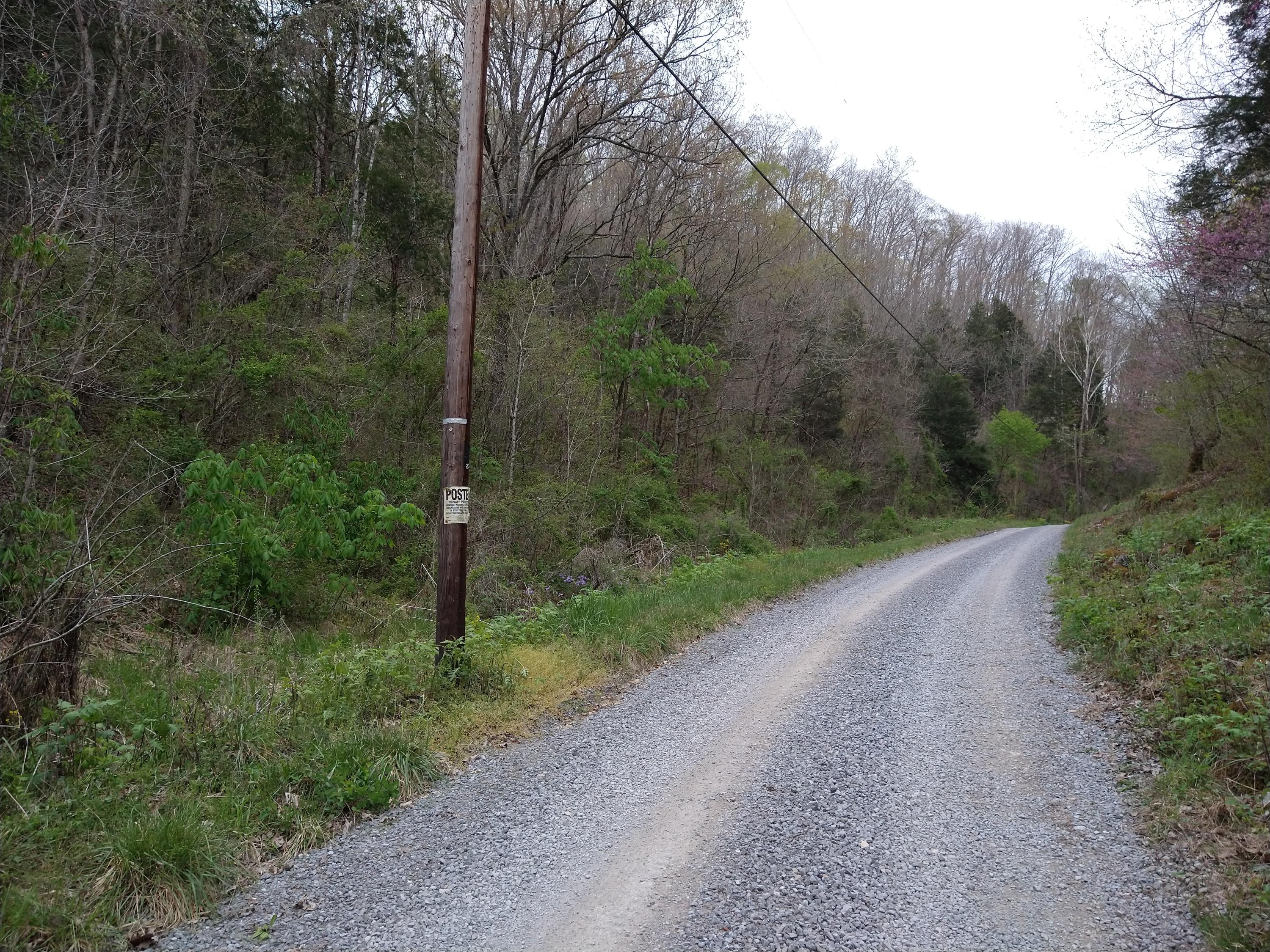 dean hollow pic2
