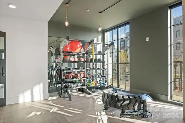 $2,500 | 536 West Tremont Avenue, Unit B1, Charlotte, NC 28203