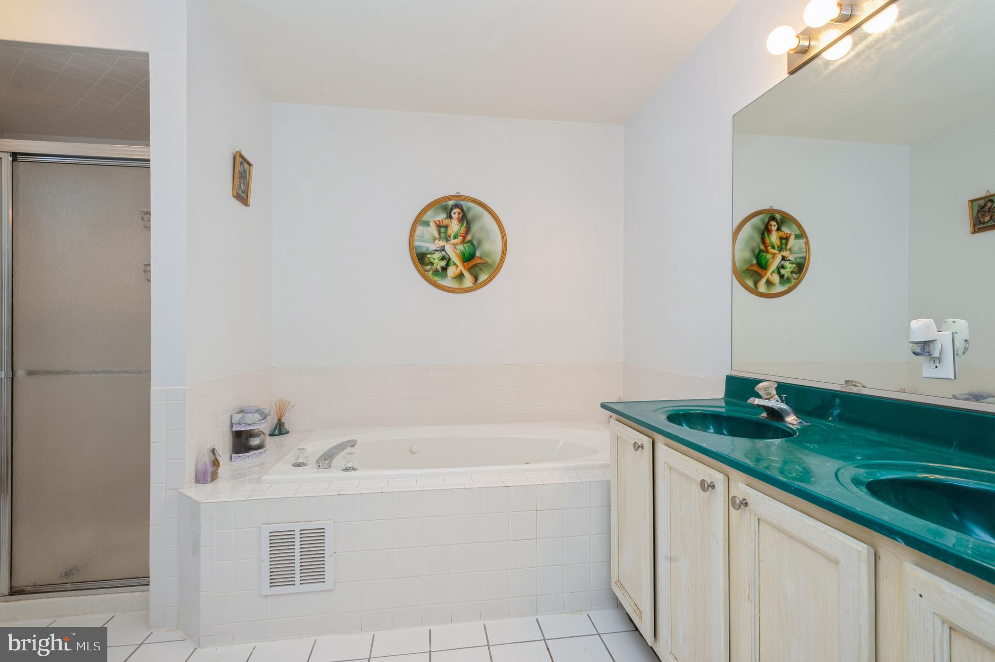 53 Whitcomb Road East Windsor, NJ 08520 - Photo 13 of 20 Primary Bath w/separate shower and whirlpool tub