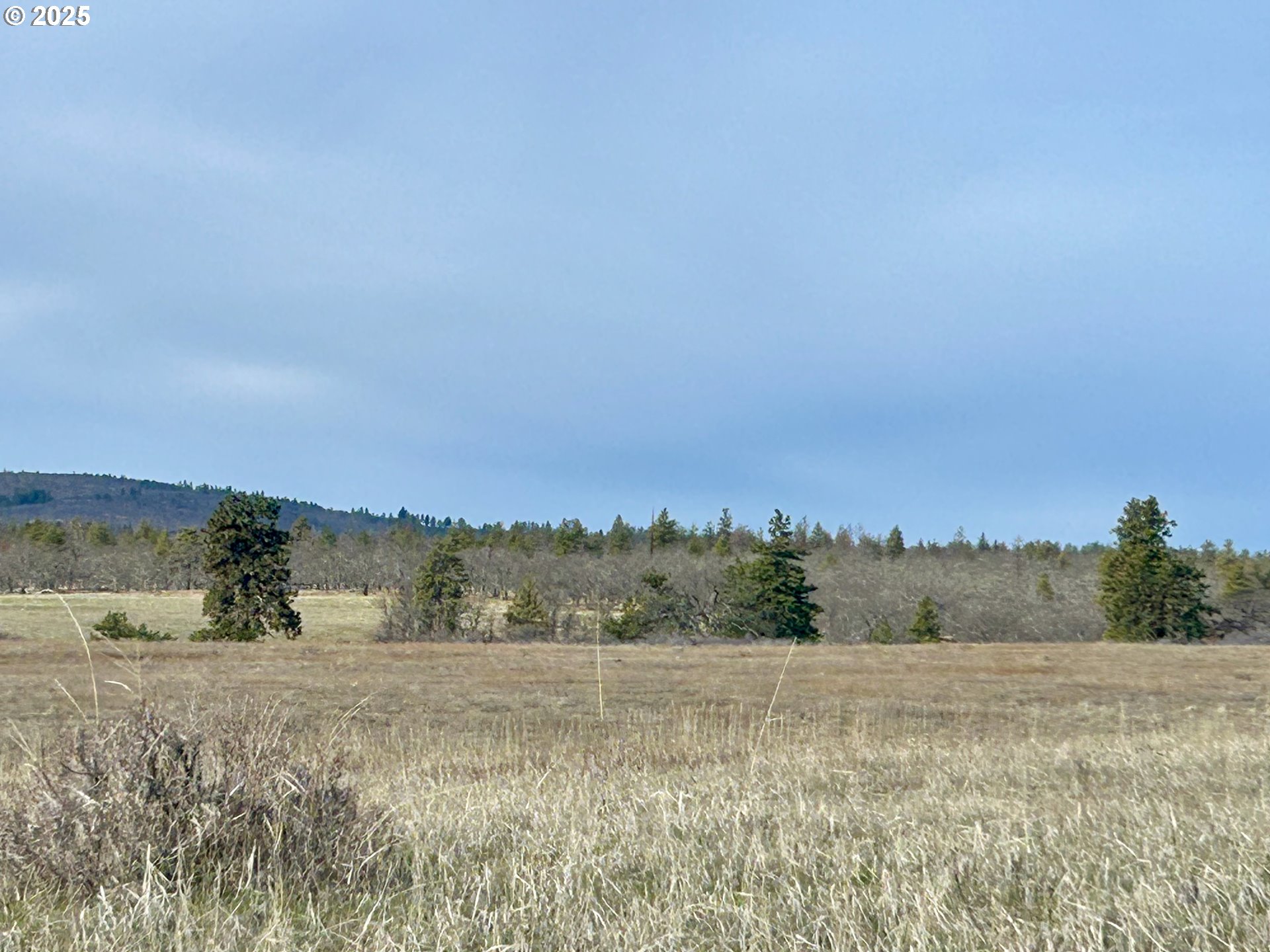 71 Homestead Road Goldendale, WA 98620 - Photo 11 of 33 a view of an outdoor space and a yard
