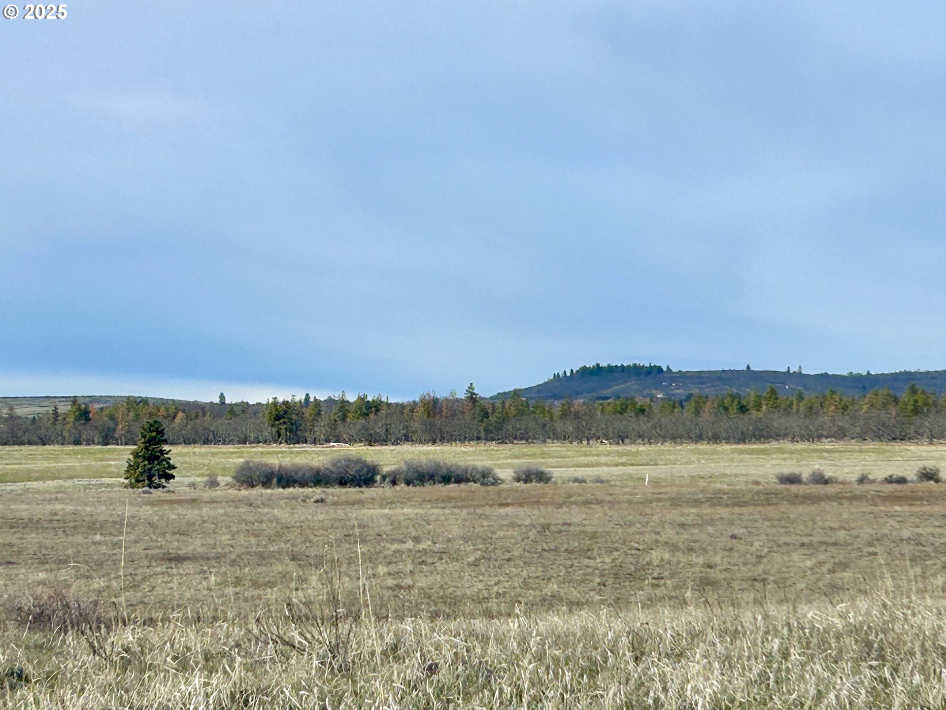 71 Homestead Road Goldendale, WA 98620 - Photo 12 of 33 a view of an outdoor space and mountain view