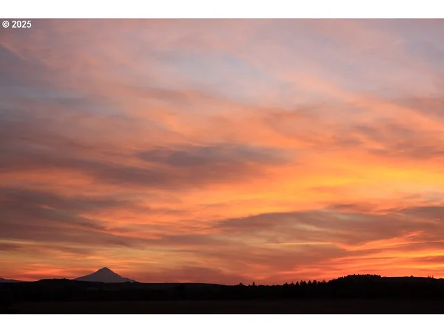 a view of a green field with trees in the background