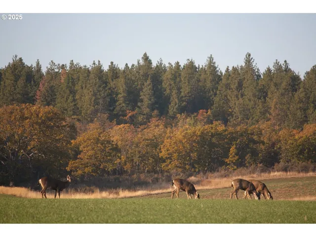 a view of an ocean and beach