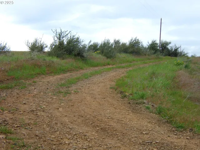 a view of an outdoor space and yard