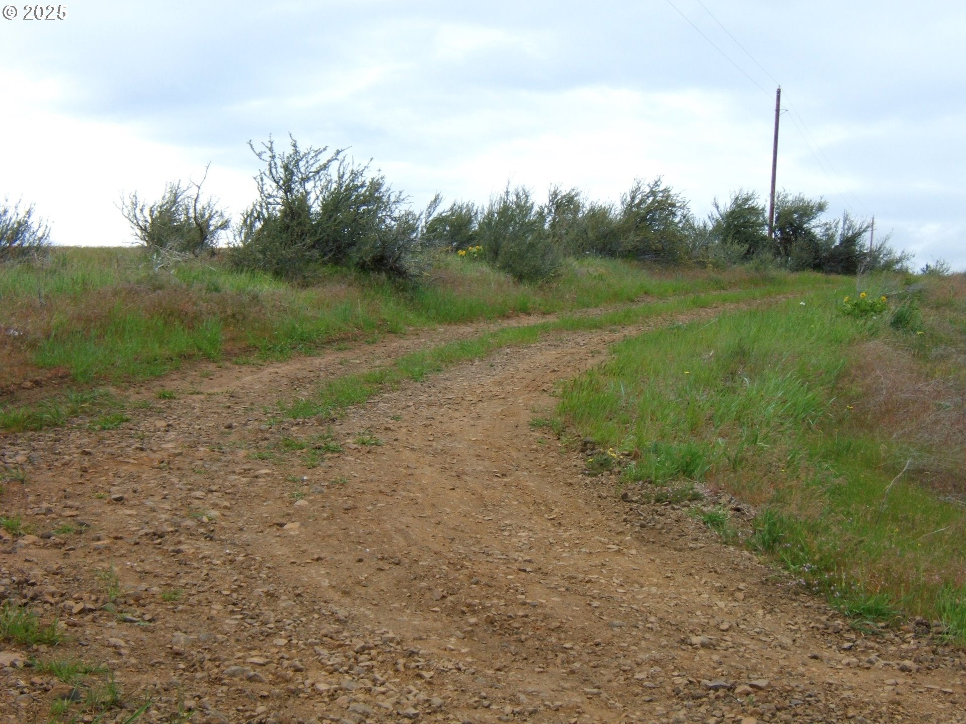 71 Homestead Road Goldendale, WA 98620 - Photo 18 of 33 a view of a field with trees in background