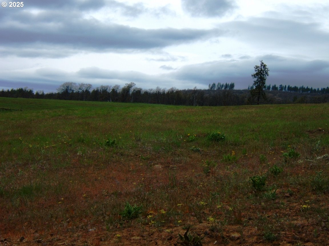 71 Homestead Road Goldendale, WA 98620 - Photo 19 of 33 a view of an outdoor space and yard