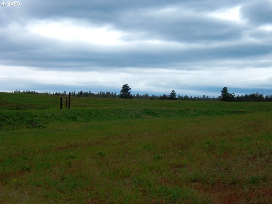 71 Homestead Road Goldendale, WA 98620 - Photo 20 of 33 a view of a green field