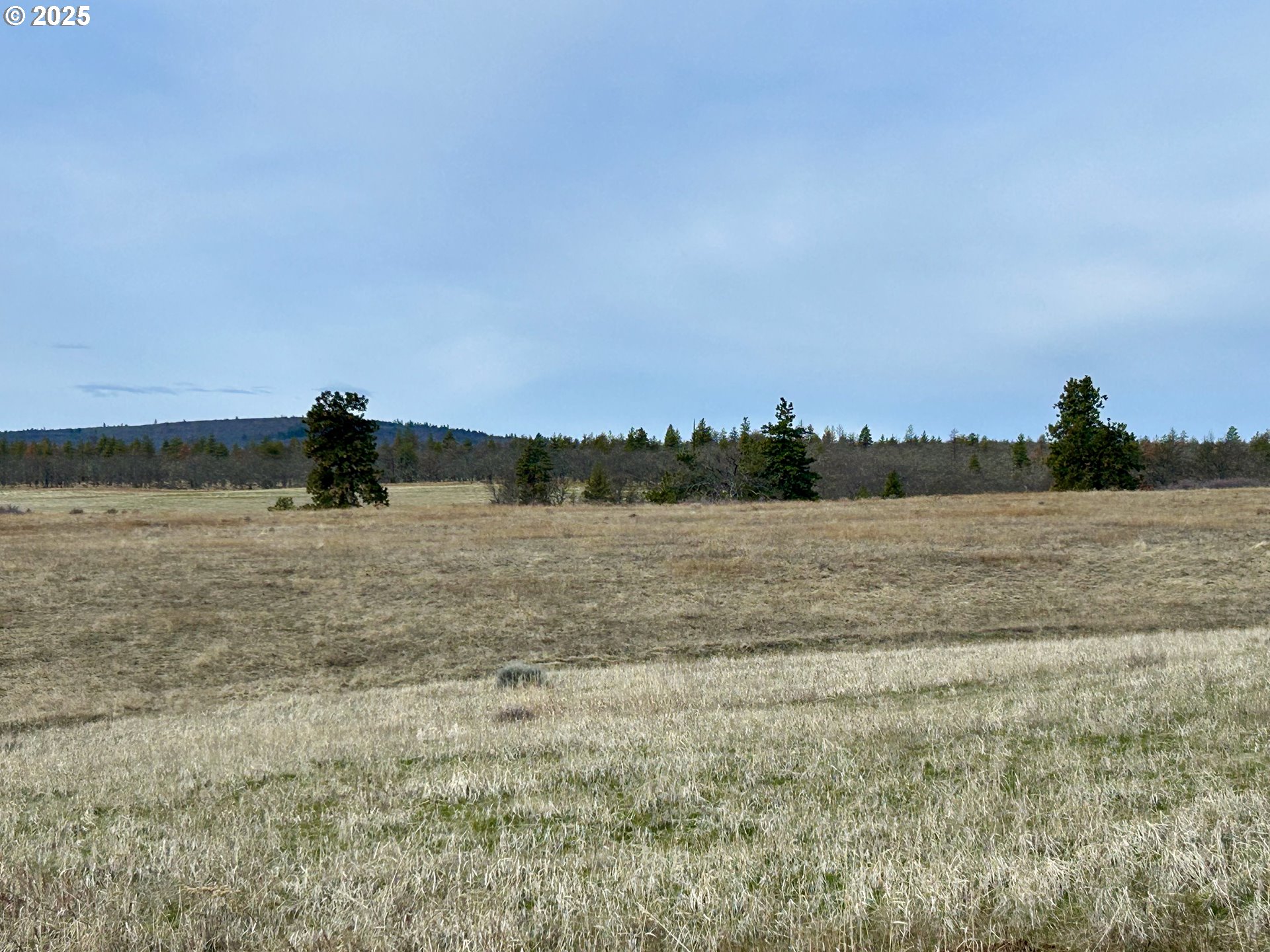 71 Homestead Road Goldendale, WA 98620 - Photo 2 of 33 a view of a lake view