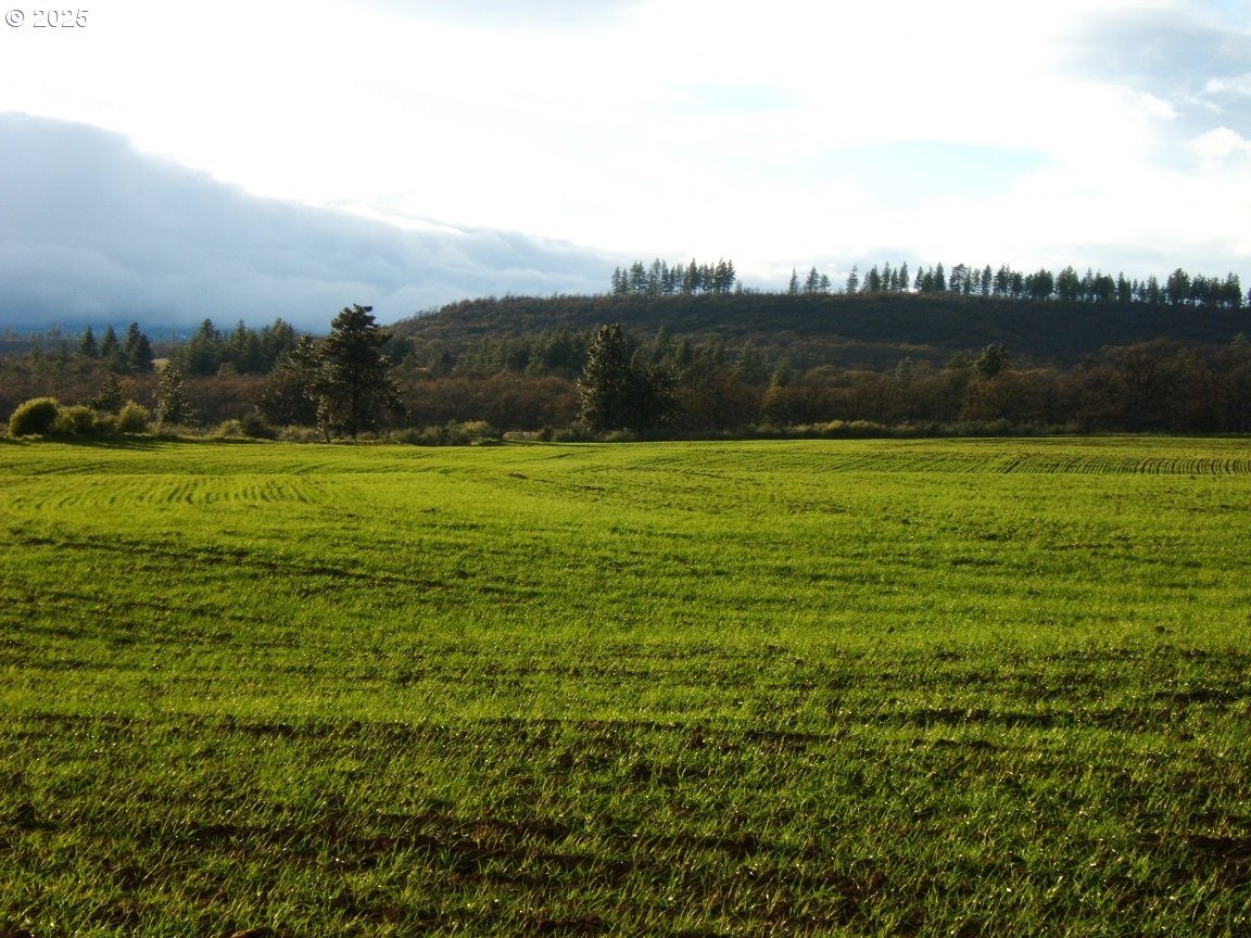 71 Homestead Road Goldendale, WA 98620 - Photo 21 of 33 a view of a field with an ocean