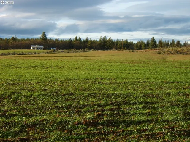 a view of a field with an ocean view