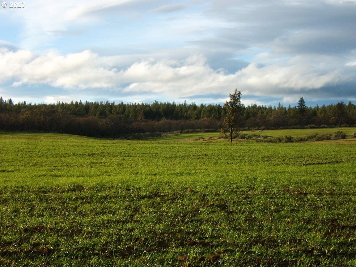 71 Homestead Road Goldendale, WA 98620 - Photo 23 of 33 a view of a field with an ocean view