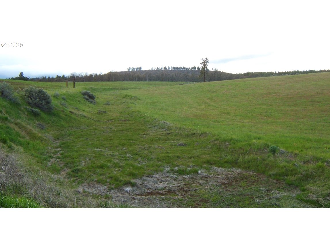 71 Homestead Road Goldendale, WA 98620 - Photo 24 of 33 a view of outdoor space and yard