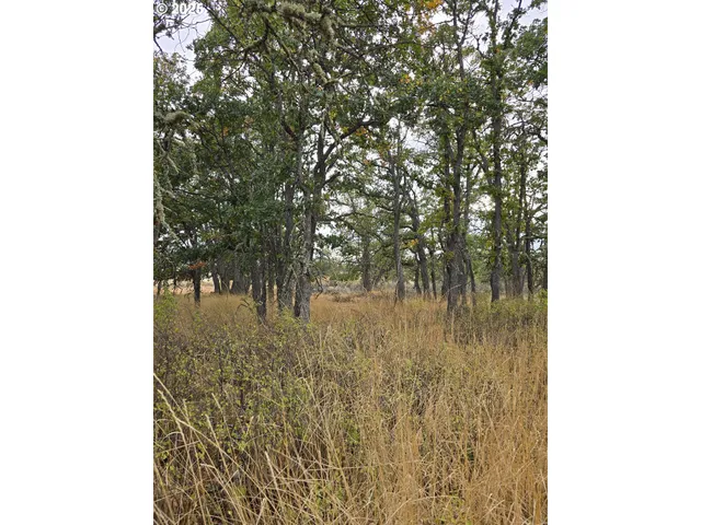 a bathroom with a tree